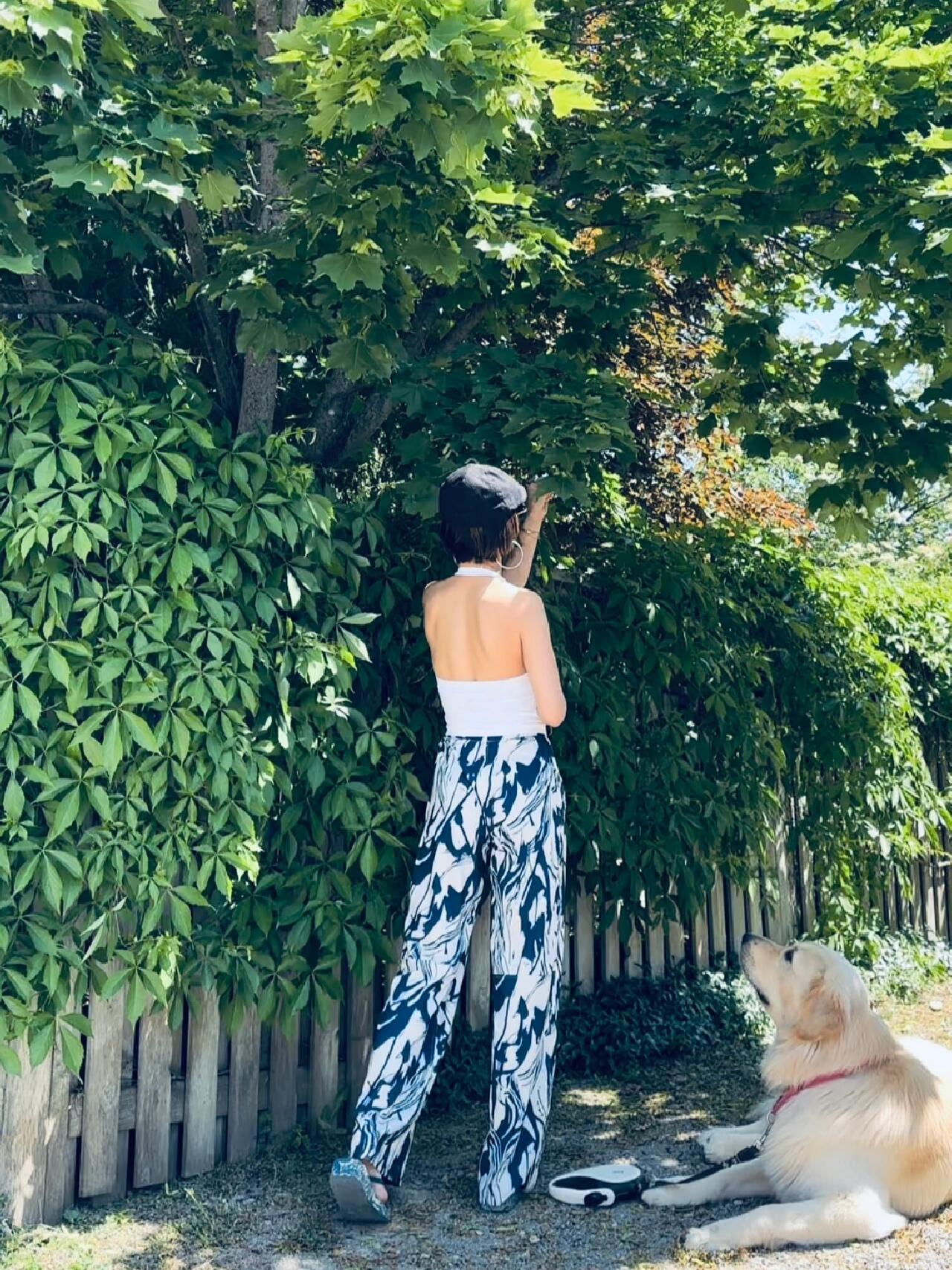Lulu Style Swift Wide-Leg Pants for Women Summer Thin Loose Sports Straight Pants Breathable Draped Casual Pants